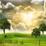 Open Field Background Stock