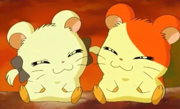 Hamtaro x Bijou (19)