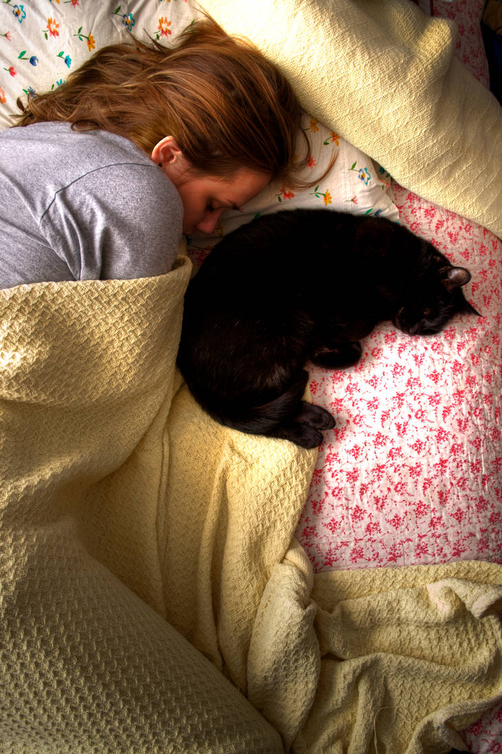 Kitty Cuddle Sleepy Time by michaelaranda