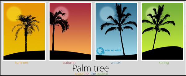 Palmtrees