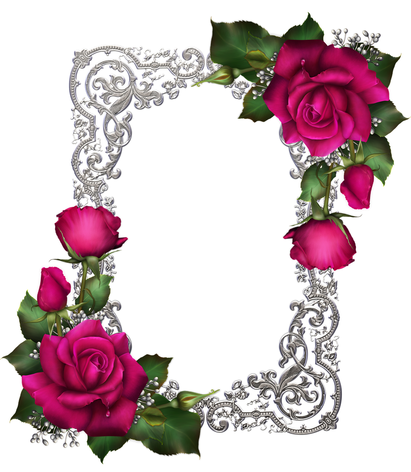 Light Roses Frame Png Rose frame png by StasiaMarie03 on DeviantArt