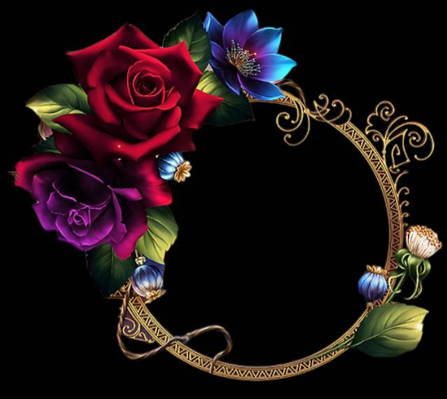 Red Roses Outer Frame Variations red rose frame original by StasiaMarie03 on DeviantArt