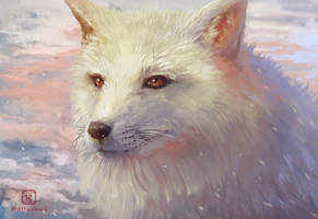 Arctic fox