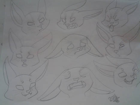 demon cat expressions