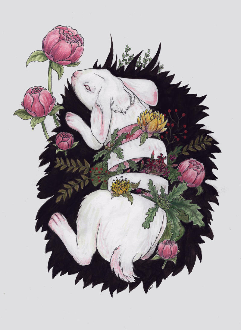 Bored Rabbit Deviantart Rabbit by GrayOwl on DeviantArt
