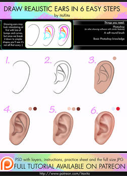 How To Draw Realistic Ears