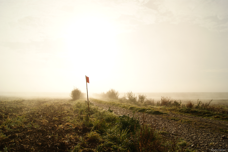 France, Oise Brume 5