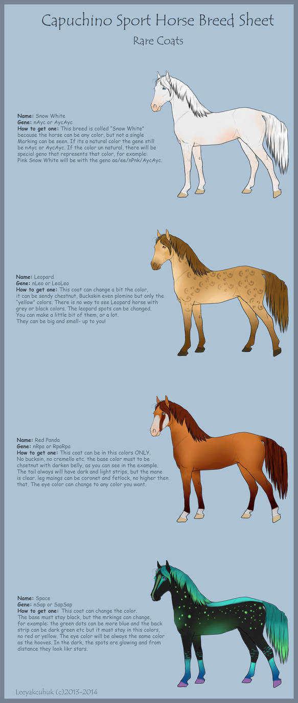 Cpuchino Sport Horse Breed Sheet- Rare Coats by LeeyaKuchuk