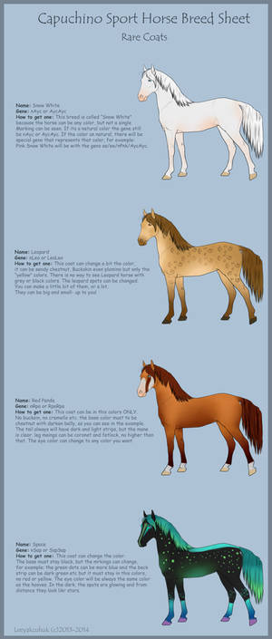 Cpuchino Sport Horse Breed Sheet- Rare Coats