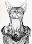Cat 'The Devil' by asabelmori