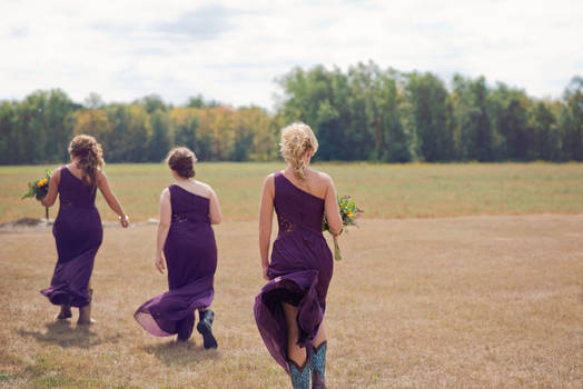 Windy Field