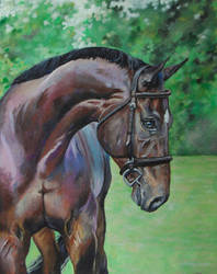 Bay Horse Painting