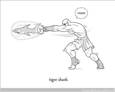 Tiger Shark