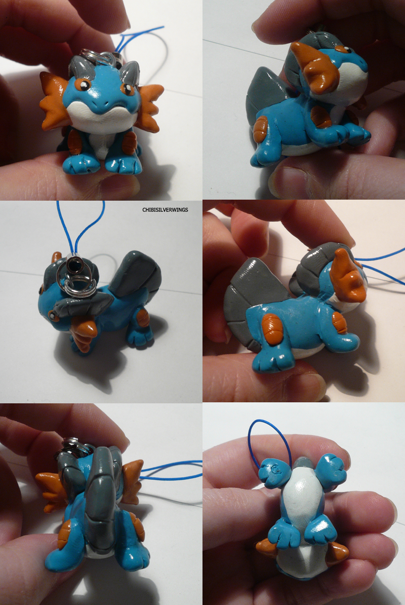 Swampert Charm