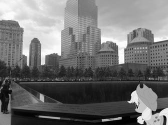 Applejack at the National September 11 Memorial