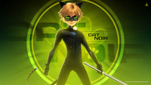 Cat Noir