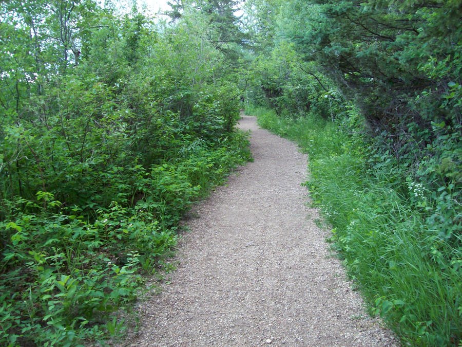 The Winding Path by Broghanz on DeviantArt