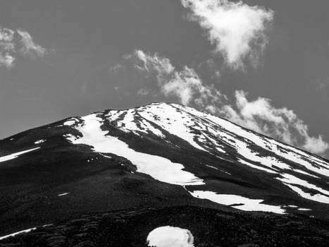 The Lotus Peak