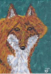 The Red Fox