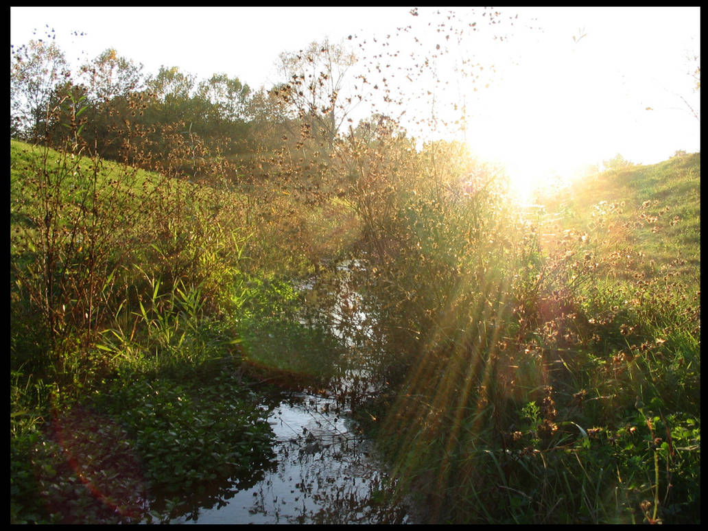 Illumatic brook by Illumatic on DeviantArt