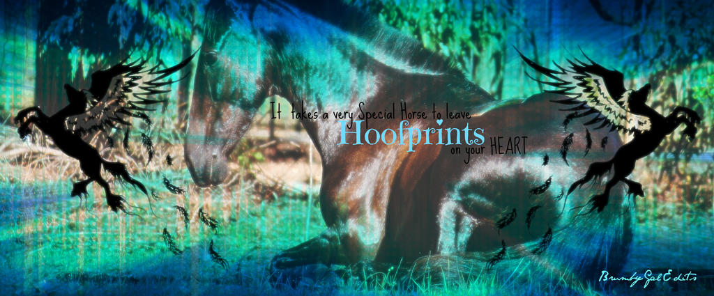 HoofPrints on your Heart