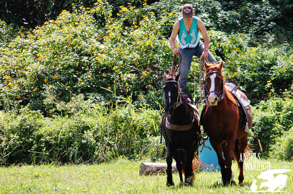 Riding two Horses At Once by BrumbyHorseWarrior95 on DeviantArt