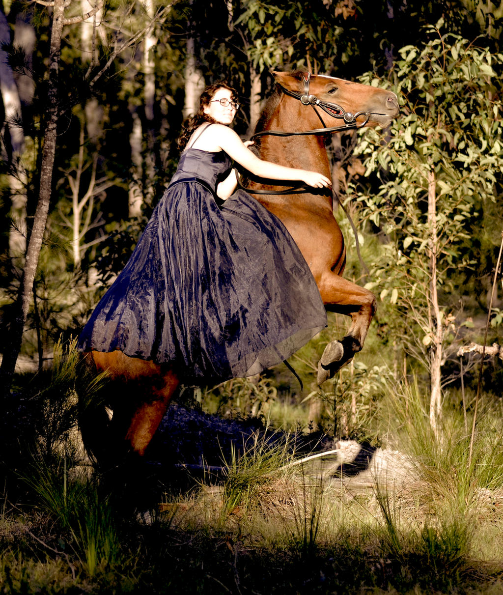 Brumby Rearing Brumby Photo shoot - Abbey and Philly Rearing by BrumbyHorseWarrior95 ...