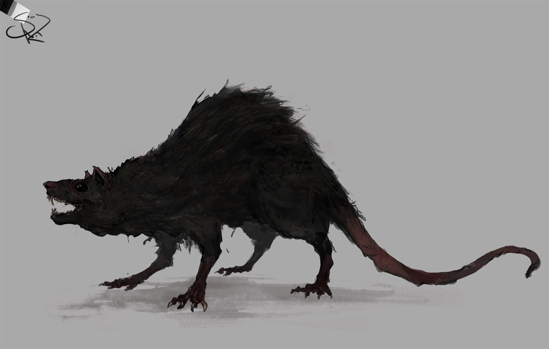 Rat Deviantart Rat by Halycon450 on DeviantArt