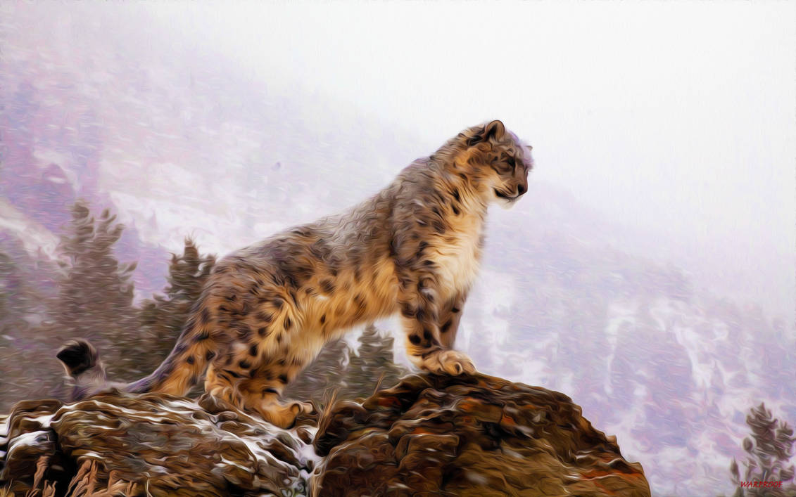 WARPROOF Snow Leopard On The Watch