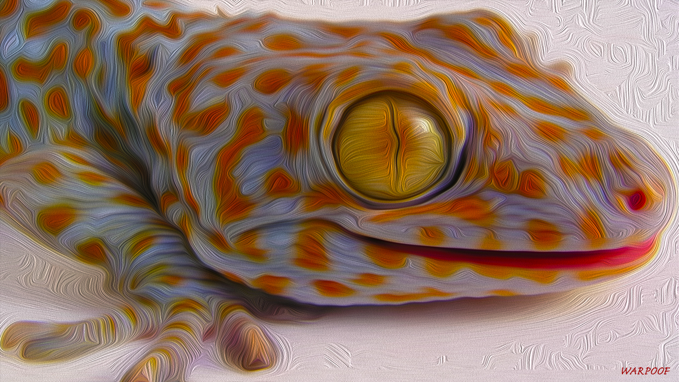 WARPROOF Tokay Gecko