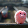Haekelschwein in Lindau (DE)