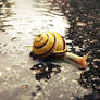 Slow down. Take it easy.
