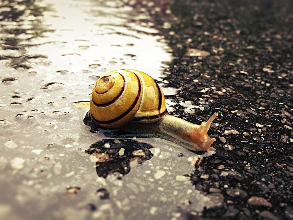 Slow down. Take it easy.