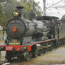 Heritage Steam Loco 3237