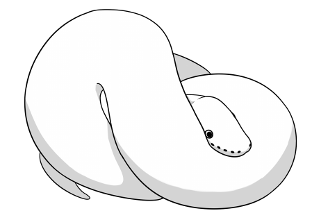F2U Balled Ball Python Lineart by itsMeowOrNever on DeviantArt