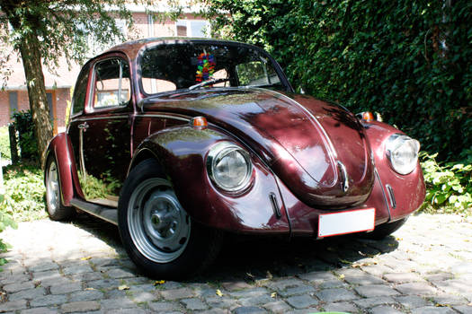 My VW Beetle