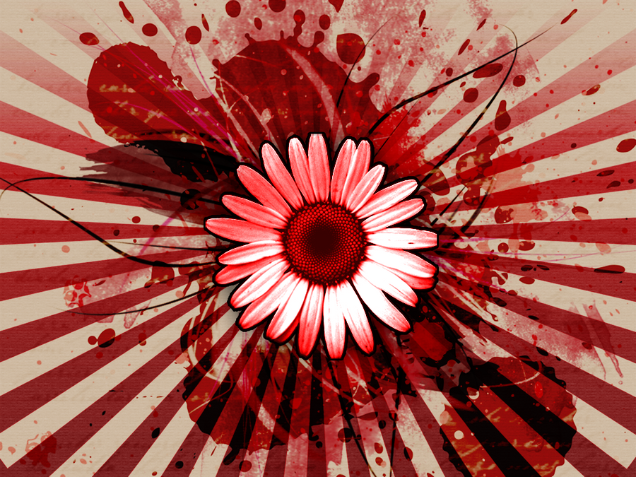 Image Daisy Exploding Daisy Burst by ecstaticfanatic on DeviantArt