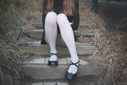 Wolfords at the Park #8
