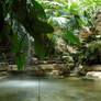 Jungle Pool