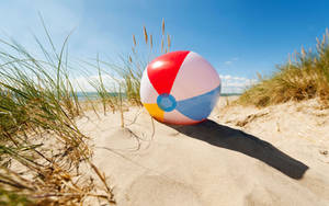 Beach ball on sand dunes summertime