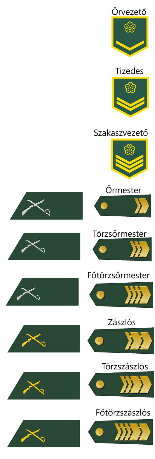 Military Ranks of Chinese Republican Army(NCOs) by admiralRobertDecart ...