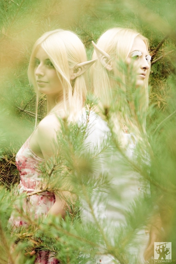 Forest Elves - 03