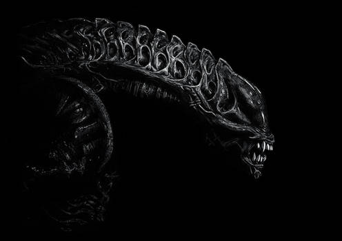 Xenomorph