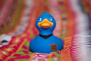 f/1.8 by Yuukon f/1.8 by Yuukon