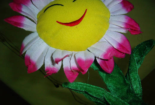 My Smiling Flower