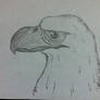 EagleHead