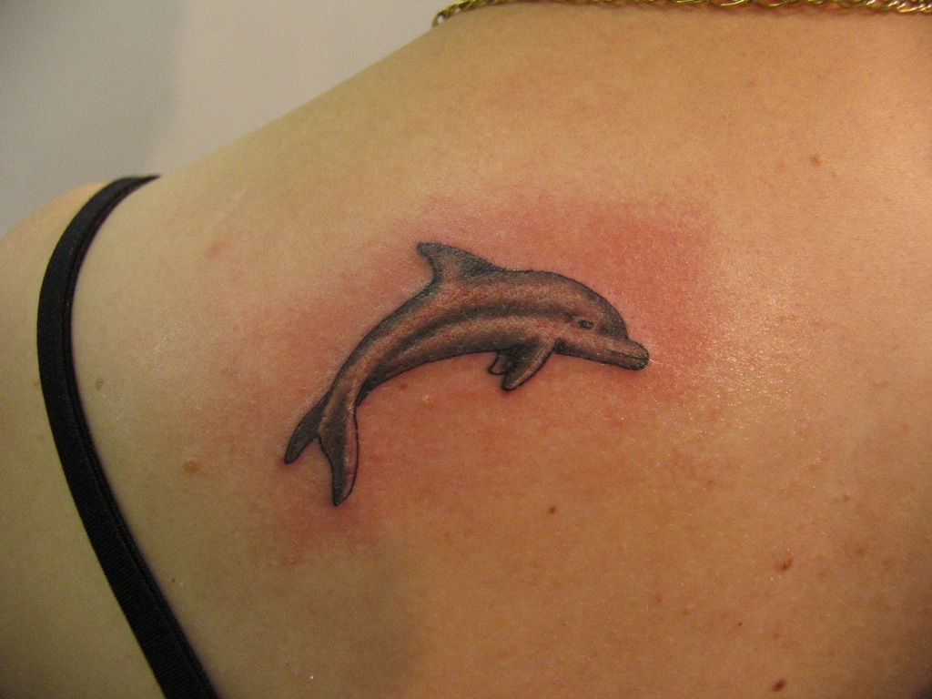 Dolphin