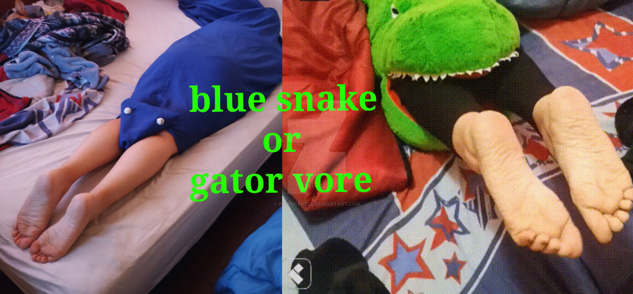 Blue snake vs gator vore by InfernaHell on DeviantArt