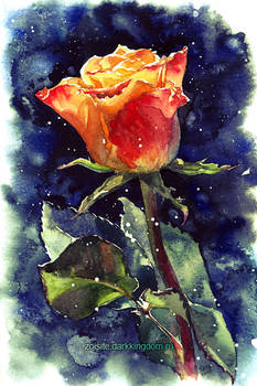 December Rose