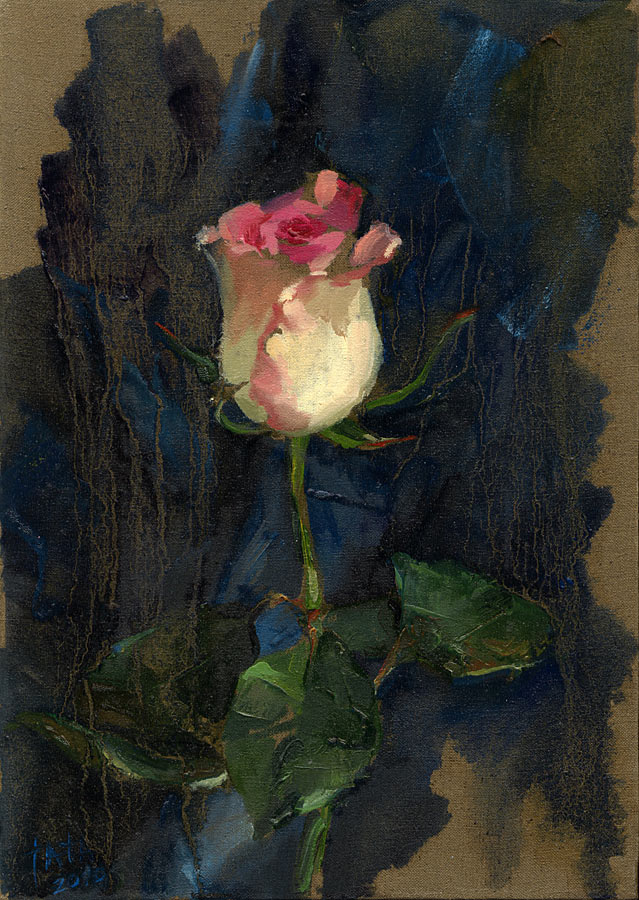 rose on blue